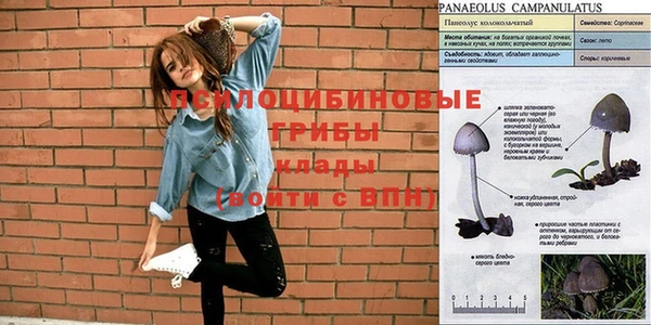 стаф Балабаново