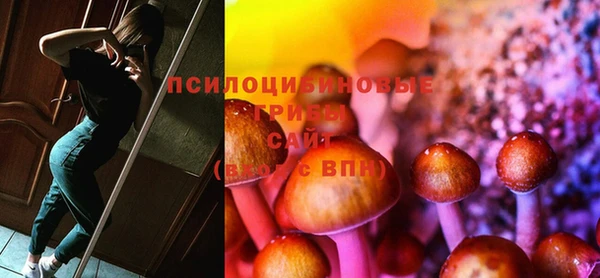 кокс Баксан