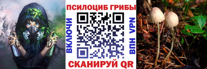 Галлюциногенные грибы прущие грибы  ОМГ ОМГ рабочий сайт  Лениногорск 